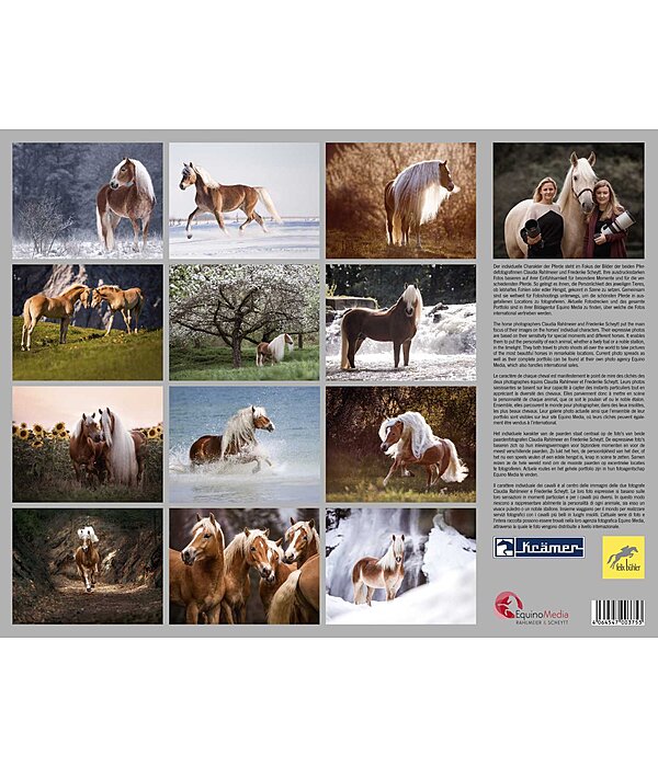 Haflinger Calendar 2025