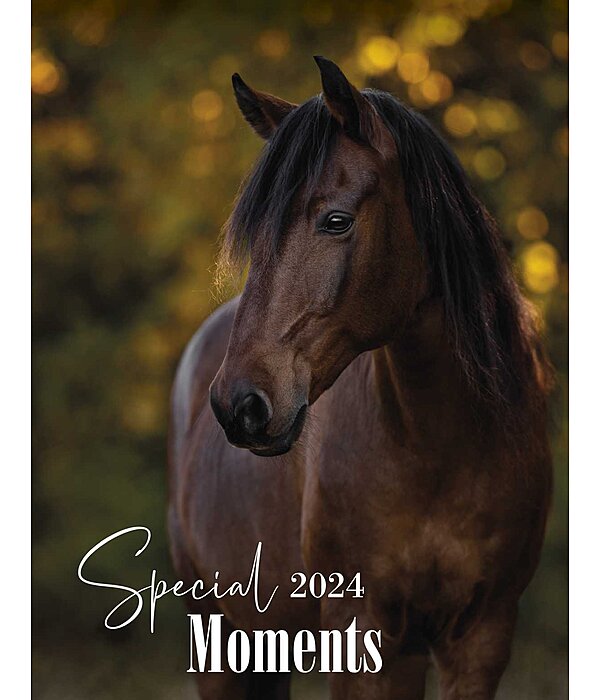 Special Moments Calendar 2025