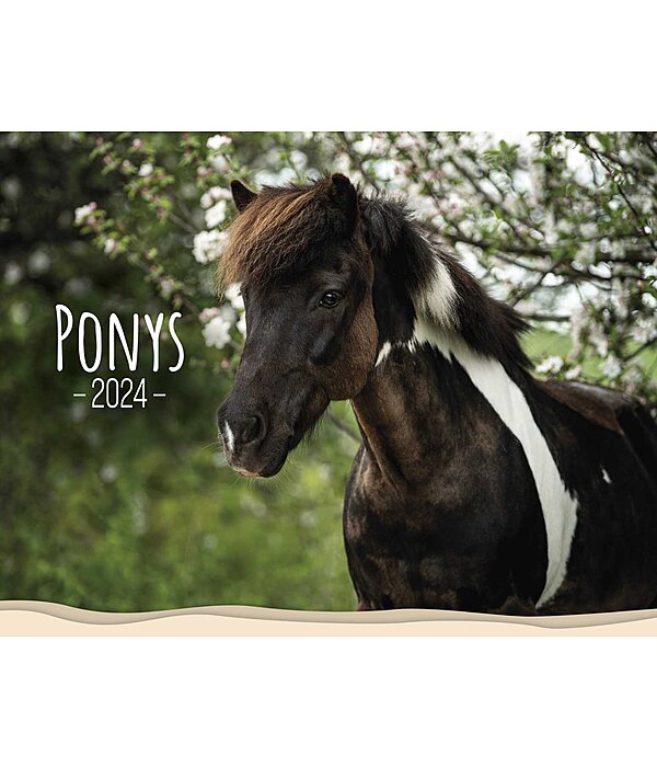 Pony Calendar 2025