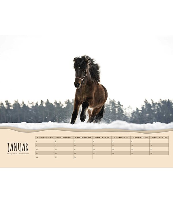 Pony Calendar 2025