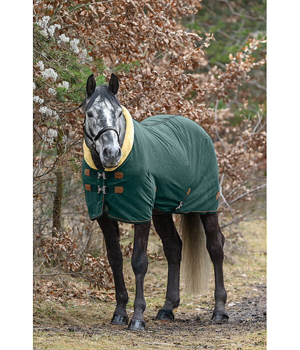 Fleece Wicking Rug Timeless Elegance with Teddy Fleece Collar