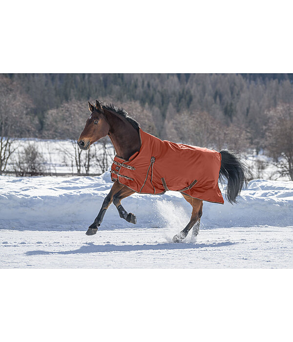 High Neck Turnout Rug Jesco II With Fleece Lining, 0g