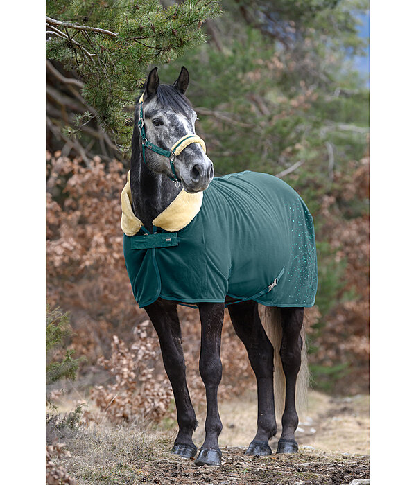 Functional Fleece Wicking Rug Sparkling II