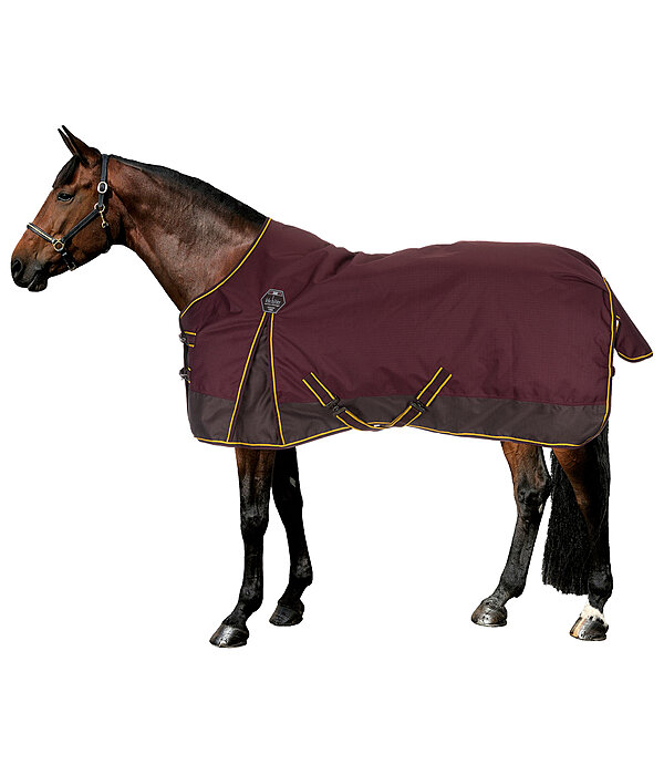 Turnout Rug Generously, 150g