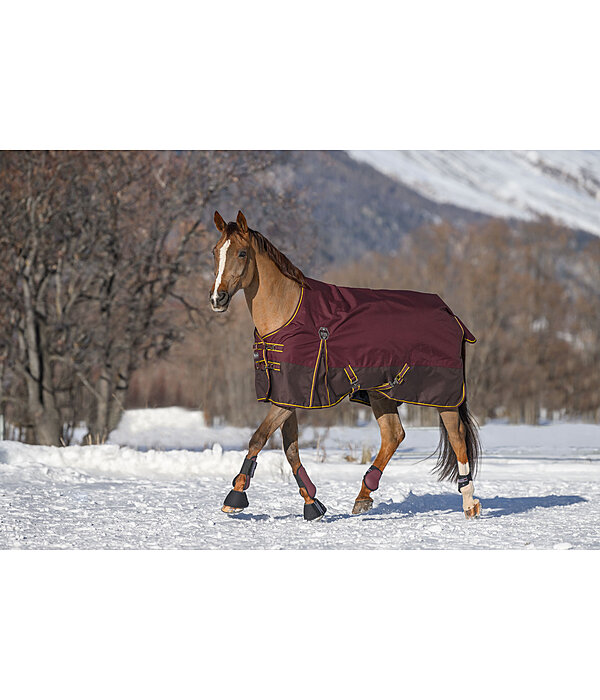 Turnout Rug Generously, 150g