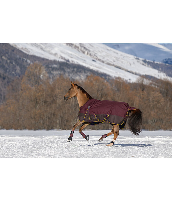 Turnout Rug Generously, 150g