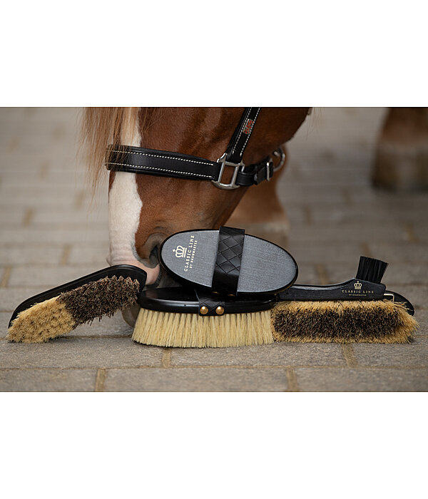 Grooming Brush