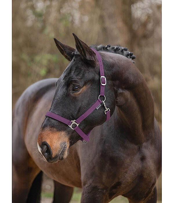 Headcollar Super Price ll