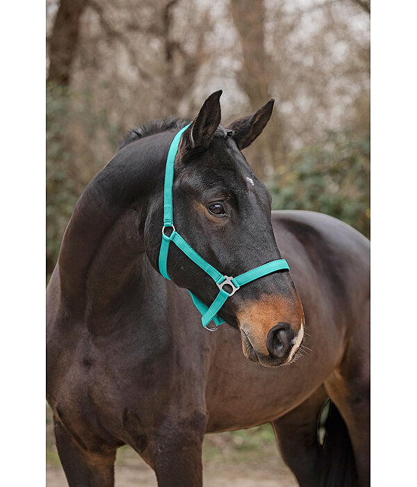 Headcollar Super Price ll