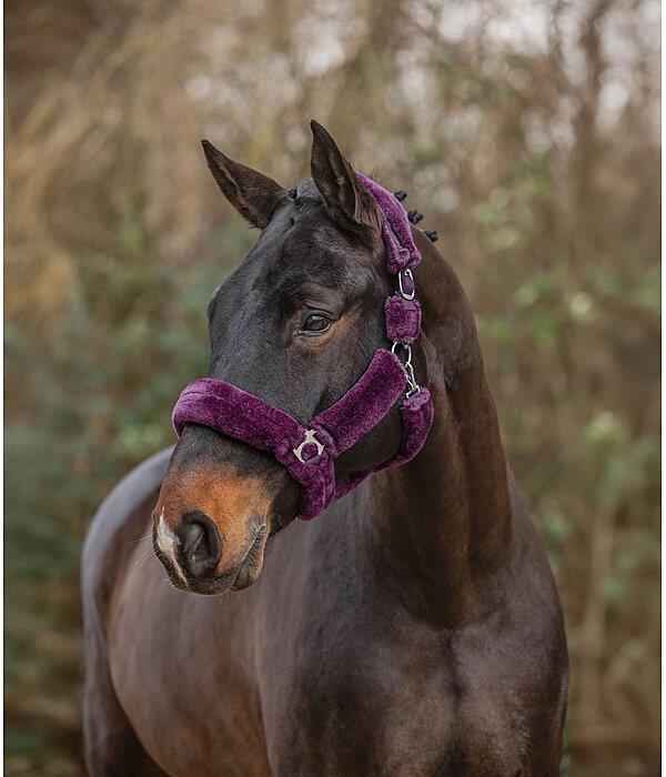 Teddy Fleece Headcollar Protection