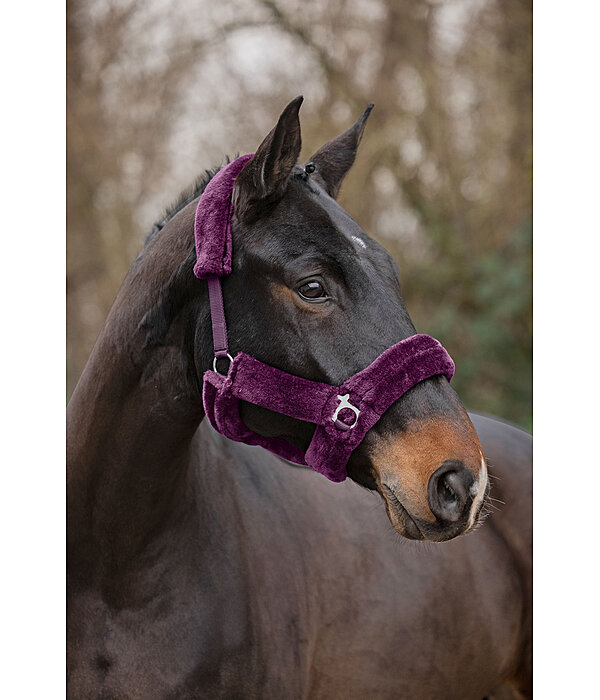 Teddy Fleece Headcollar Protection