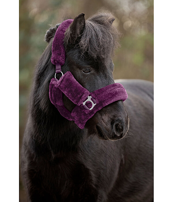 Teddy Fleece Headcollar Protection