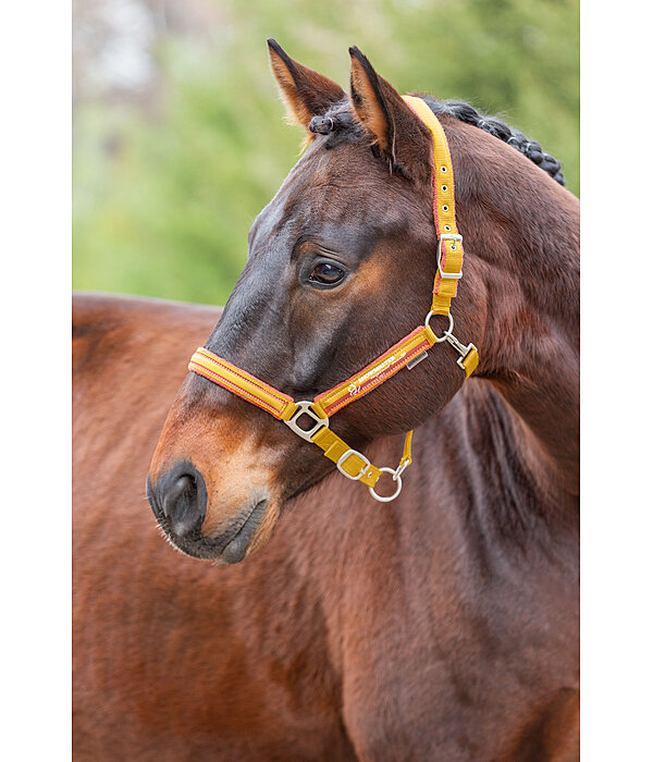 Headcollar Twotone