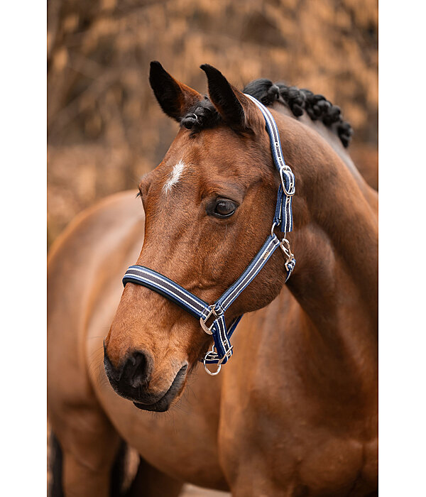 Headcollar Basic