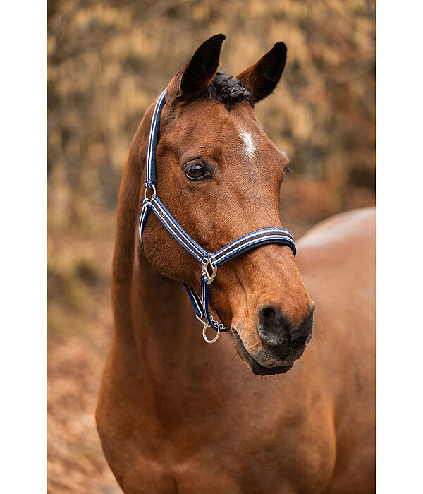 Headcollar Basic