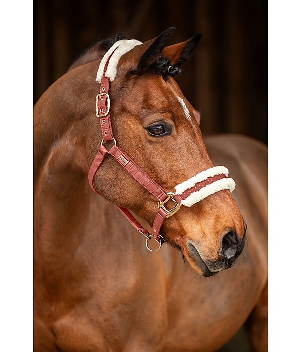 Headcollar Sparkling II