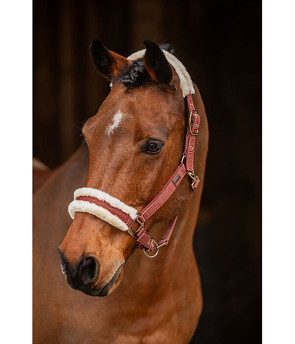 Headcollar Sparkling II