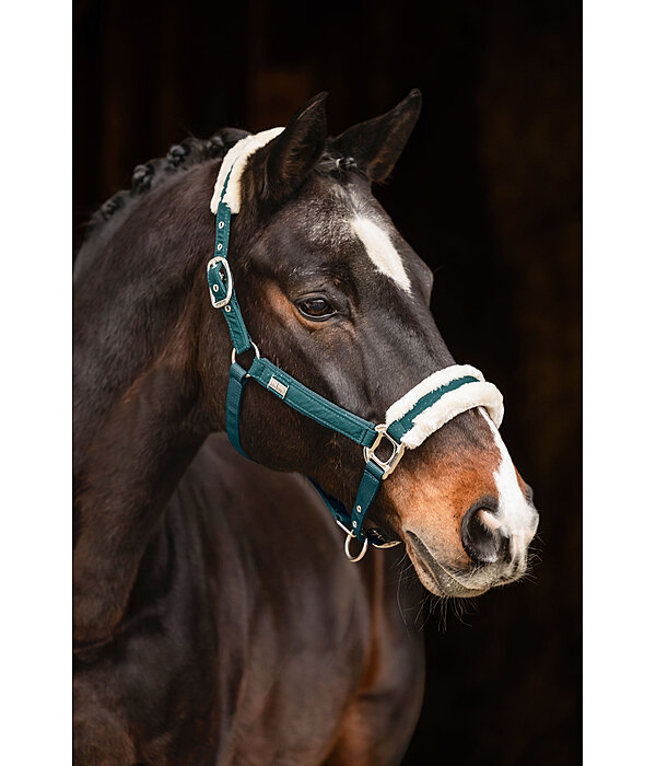 Headcollar Sparkling II