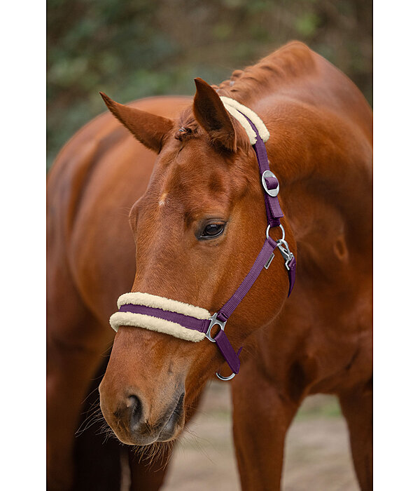 Teddy Fleece Headcollar Super Price III