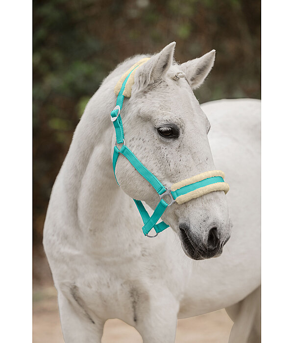 Teddy Fleece Headcollar Super Price III