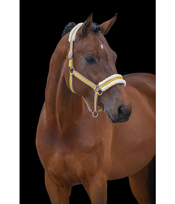 Teddy Fleece Headcollar Essential II