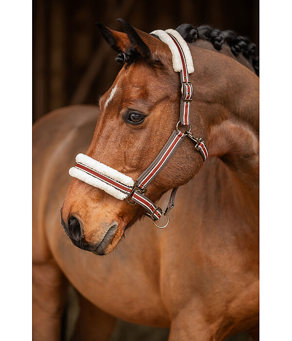 Teddy Fleece Headcollar Essential II