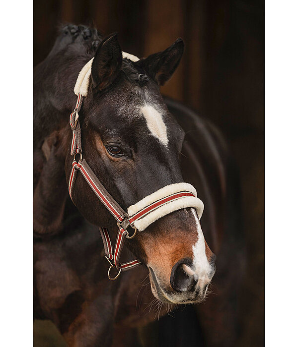 Teddy Fleece Headcollar Essential II