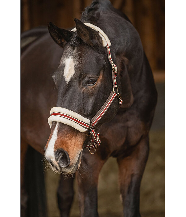 Teddy Fleece Headcollar Essential II