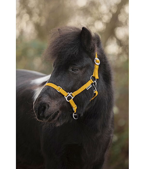 Foal and Shetland Pony Headcollar Grow With You