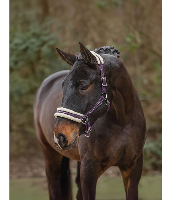 Teddy Fleece Headcollar Better Together