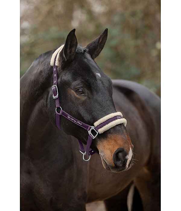 Teddy Fleece Headcollar Better Together