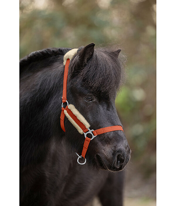 Foal & Shetland Pony Teddy Fleece Headcollar Cozy Adjustable