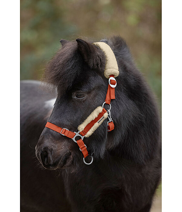 Foal & Shetland Pony Teddy Fleece Headcollar Cozy Adjustable