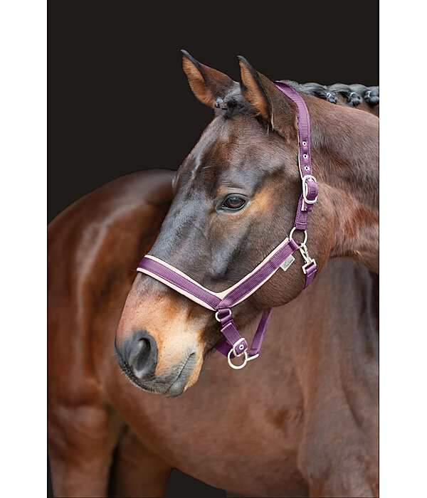 Headcollar Anatomical Relaxation