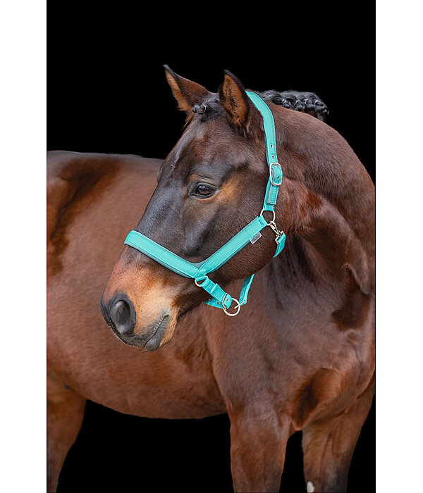 Headcollar Anatomical Relaxation