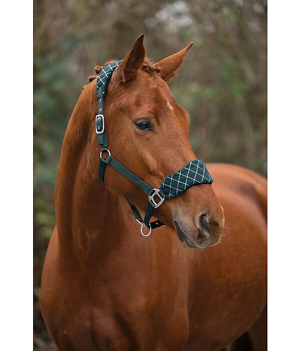 Headcollar Softy