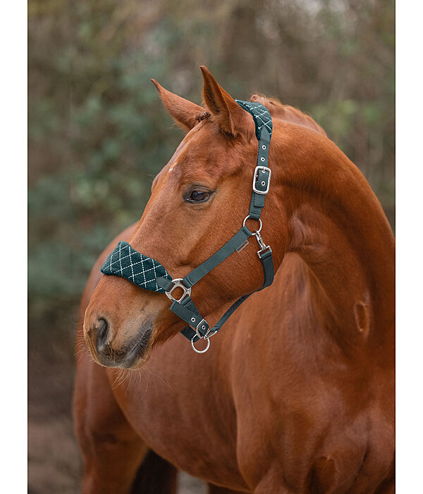 Headcollar Softy