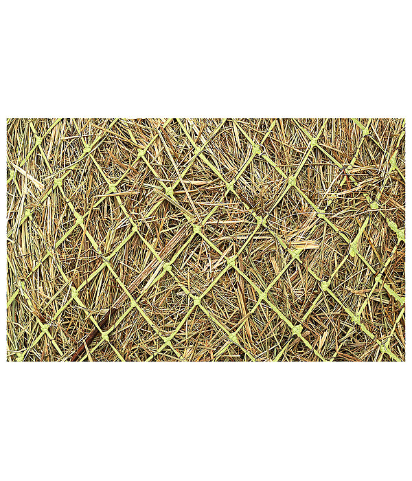 Haynet Tight Mesh