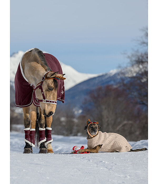 Advent Calendar for Horses