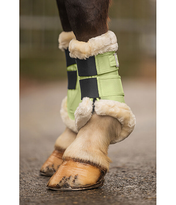 Teddy Fleece Dressage Boots Essential, front legs