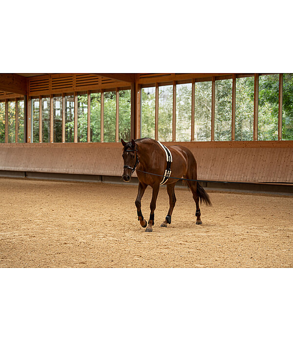 Teddy Fleece Lunge Roller