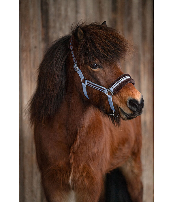 Teddy Fleece Headcollar Norwegian Spirit