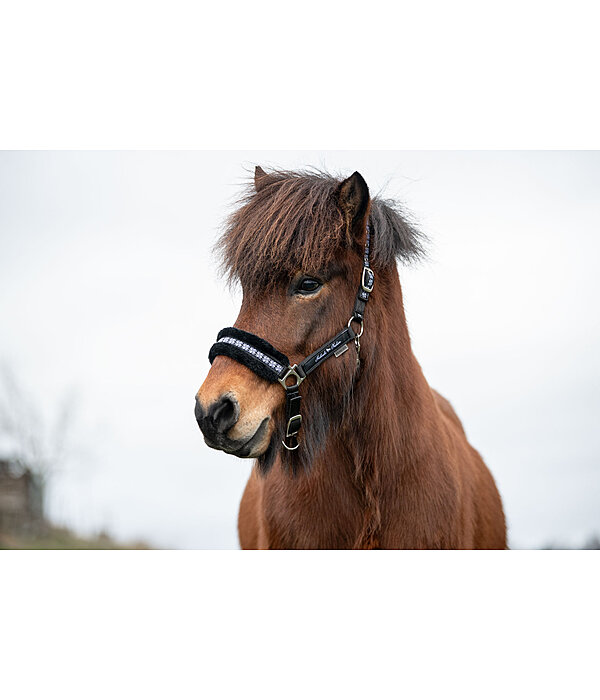 Teddy Fleece Headcollar Norwegian Spirit