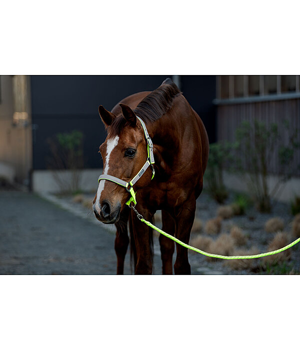 Lead Rope Shiny with Snap Hook