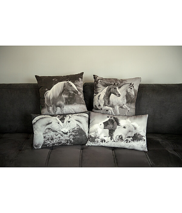 Cushion Fjord Horses