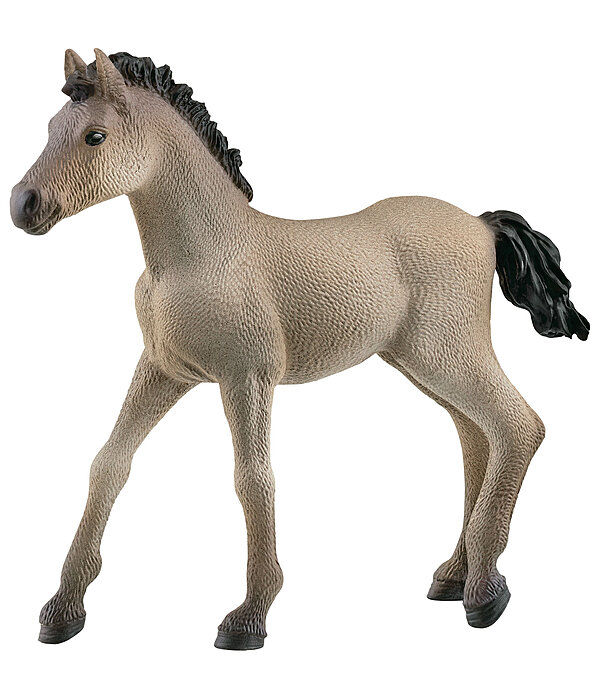 Schleich Criollo Definitivo Foal